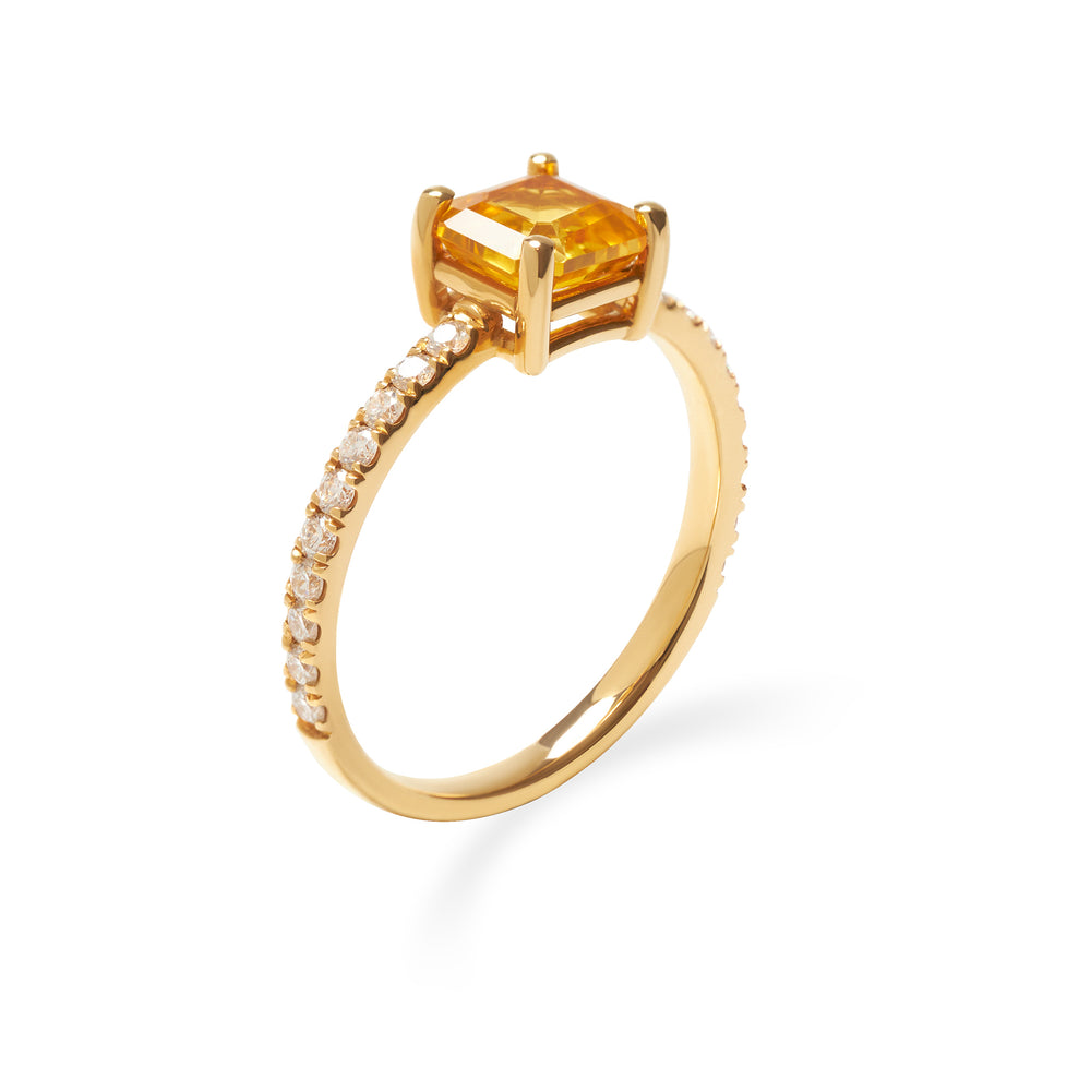 Luminous Ring Aurora