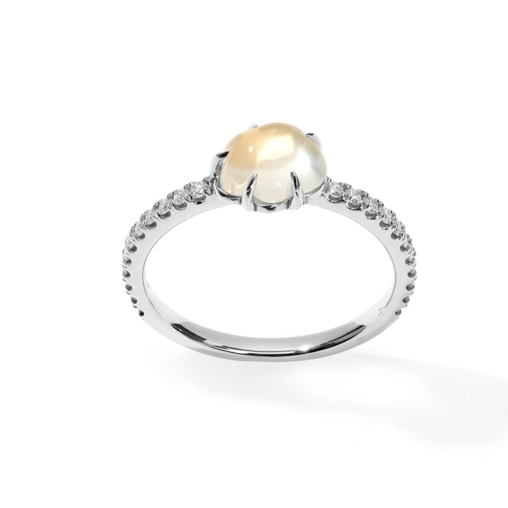 Mid Cloud Ring Pavé Milk