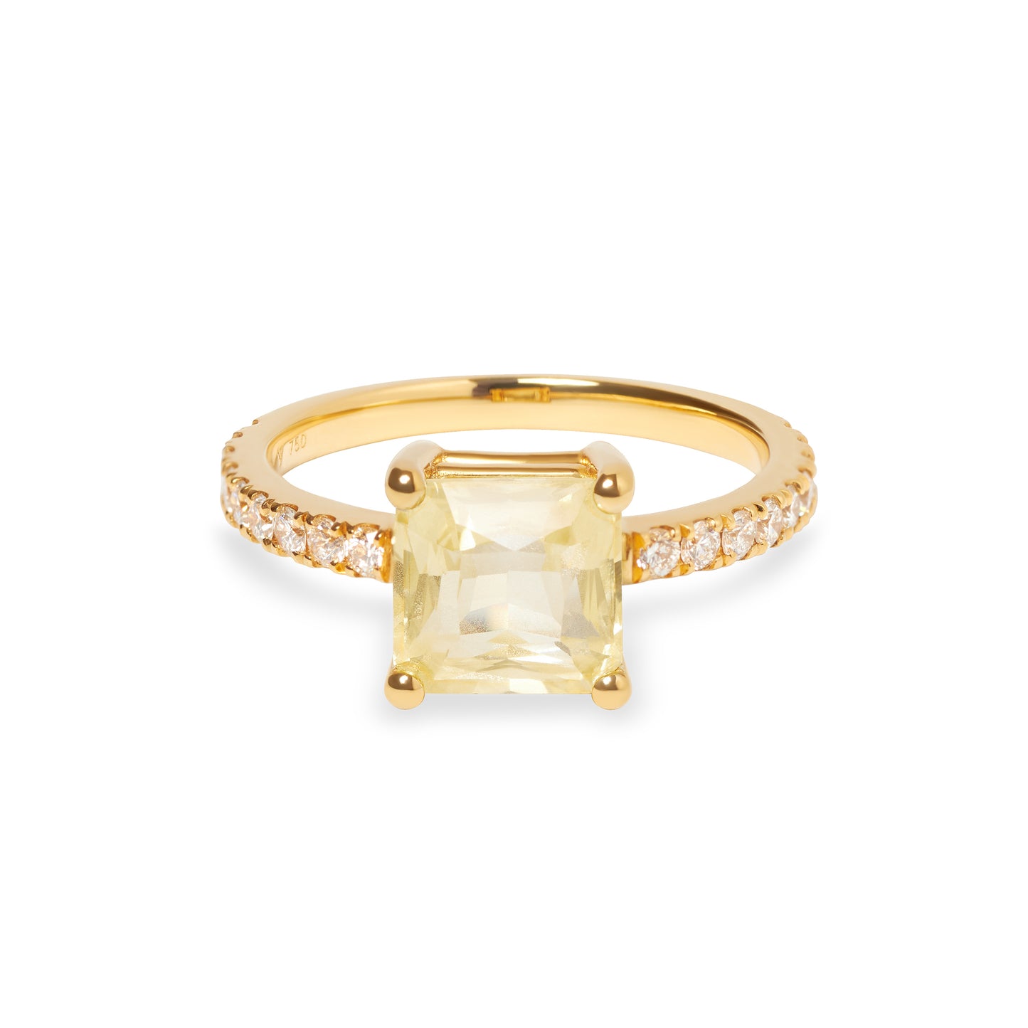 VIERI Luminous Ring Radiance
