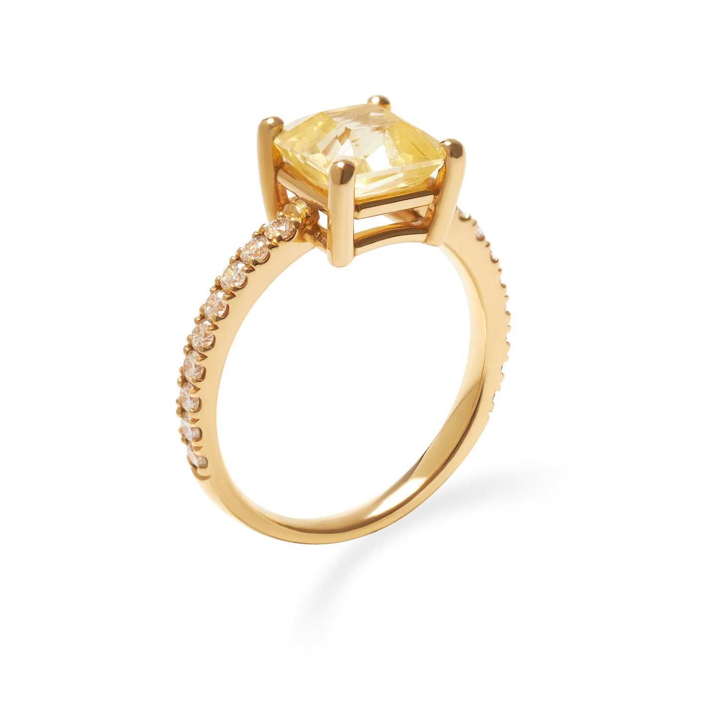 VIERI Luminous Ring Radiance