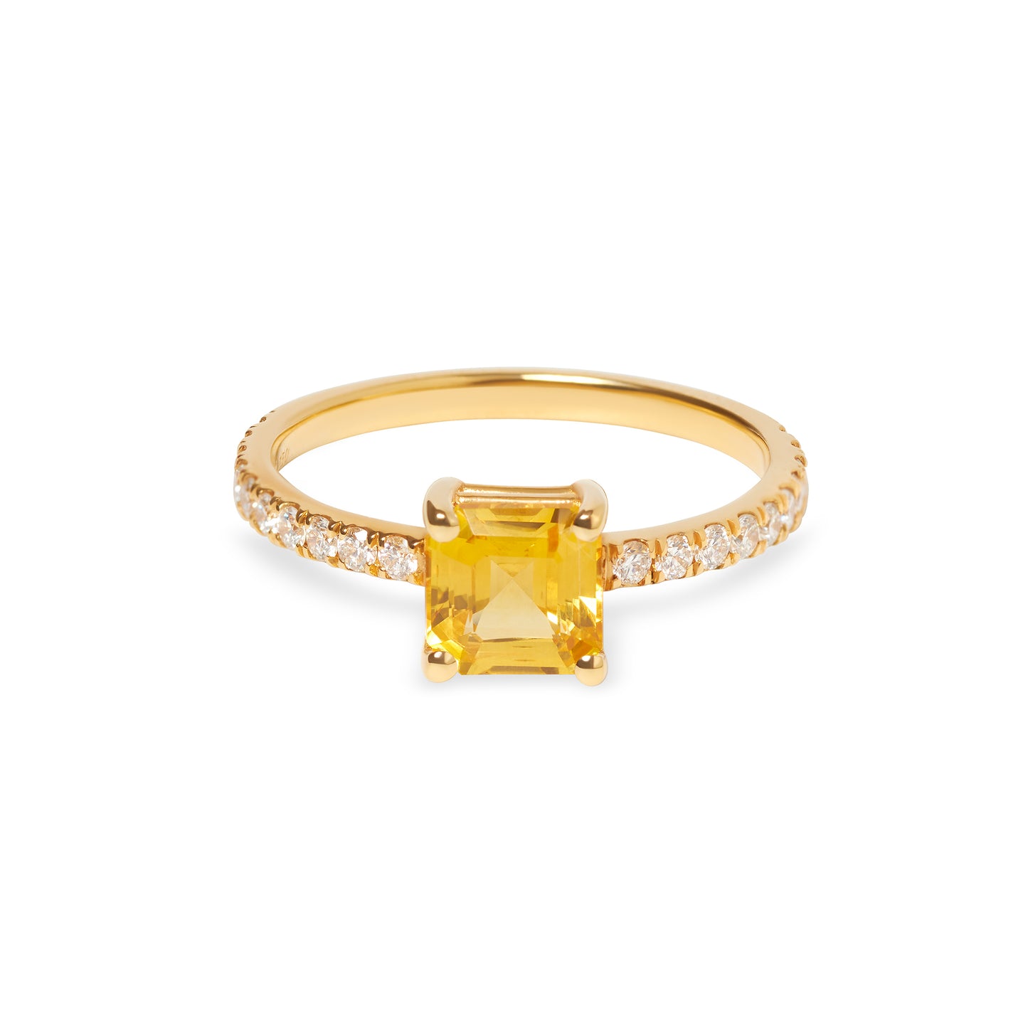 Luminous Ring Aurora