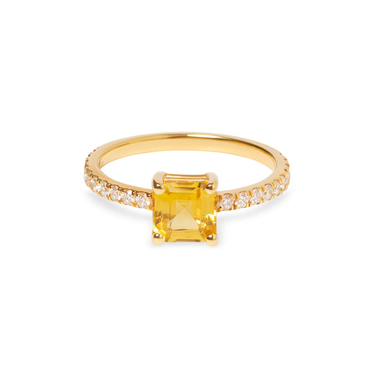 Luminous Ring Aurora