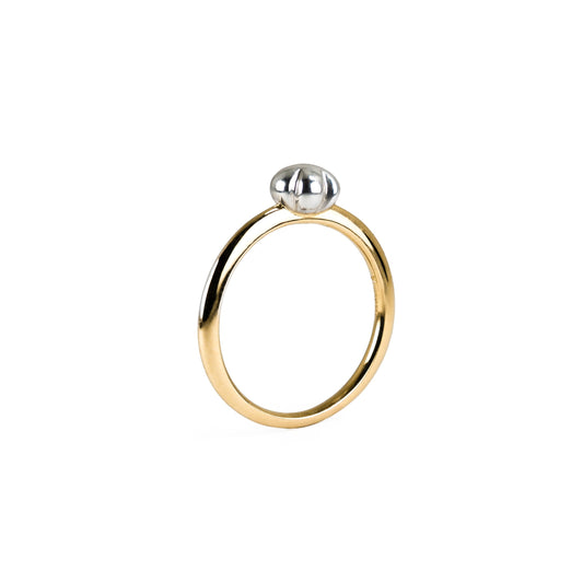 VIERI x Cloudy Two Tone Ring Gold